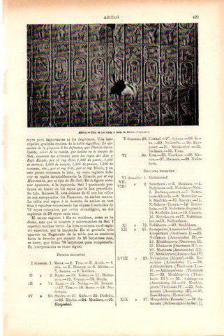 LAMINA V51489: Tabla de Abidos fragmento