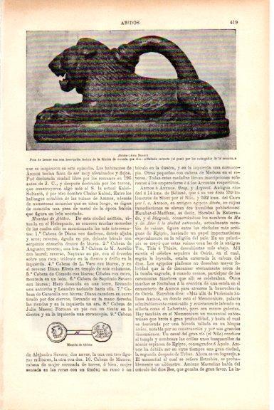 LAMINA V51487: Abidos pesa de Asia Menor