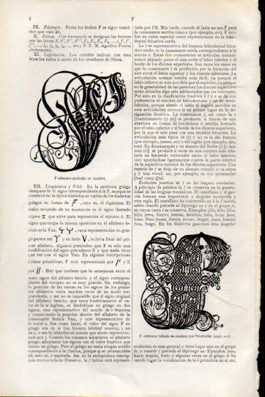 LAMINA V51547: La letra F alemana