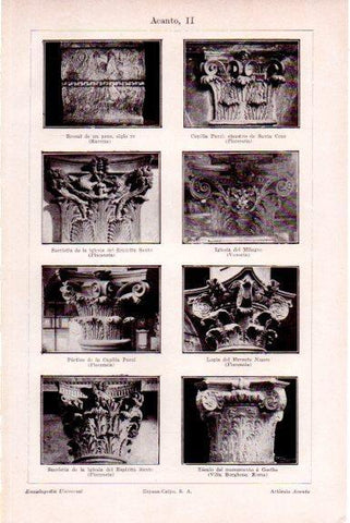 LAMINA V51544: Ornamentos de acanto