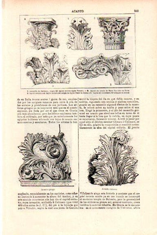 LAMINA V51543: Acantos griego y romano