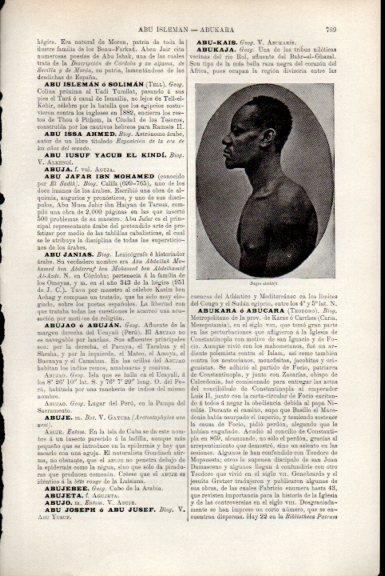 LAMINA V51529: Negro de abukaja