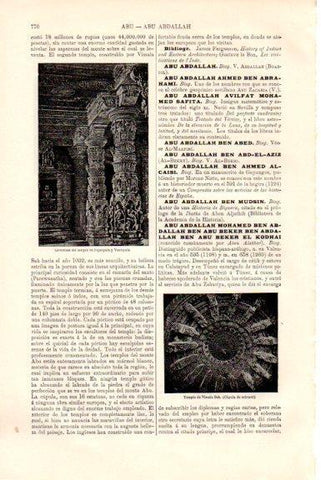 LAMINA V51526: Columnas del templo de Fejahpala y Vastupala