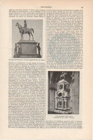 LAMINA ESPASA PV50887: Monumento a Wellington, Catedral de San Pablo en Londres