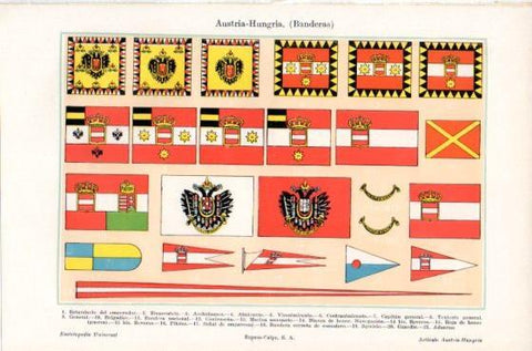 LAMINA ESPASA PV50534: Banderas de Austria - Hungria