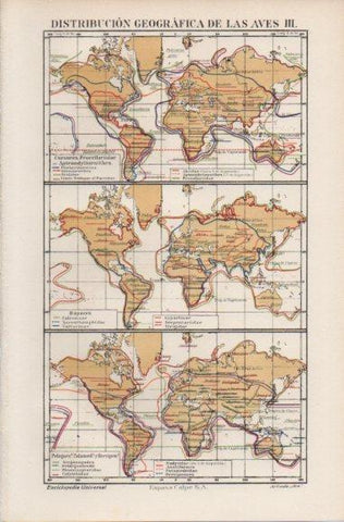 LAMINA ESPASA PV50563: Mapas del mundo distribucion geografica de las aves III 