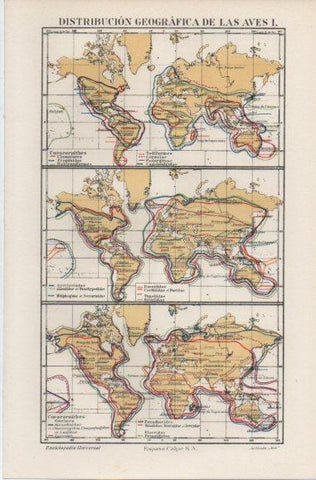 LAMINA ESPASA PV50562: Mapas del mundo distribucion geografica de las aves I