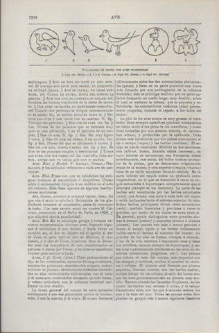 LAMINA ESPASA PV50559: Filigranas de papel con aves indefinidas