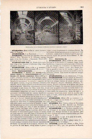 LAMINA ESPASA PV50463: Galerias goticas de las Atarazanas de Barcelona