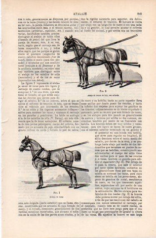 LAMINA ESPASA PV50460: Atalaje de tronco y de varas