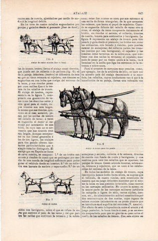 LAMINA ESPASA PV50461: Atalaje de tronco para tiro pesado