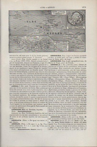 LAMINA ESPASA PV50583: Mapa de las Islas Azores
