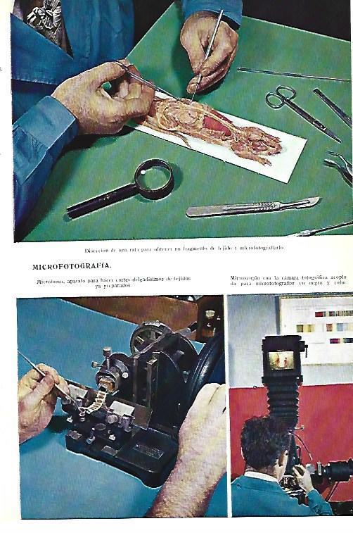 LAMINA ESPASA 40408: Microfotografia