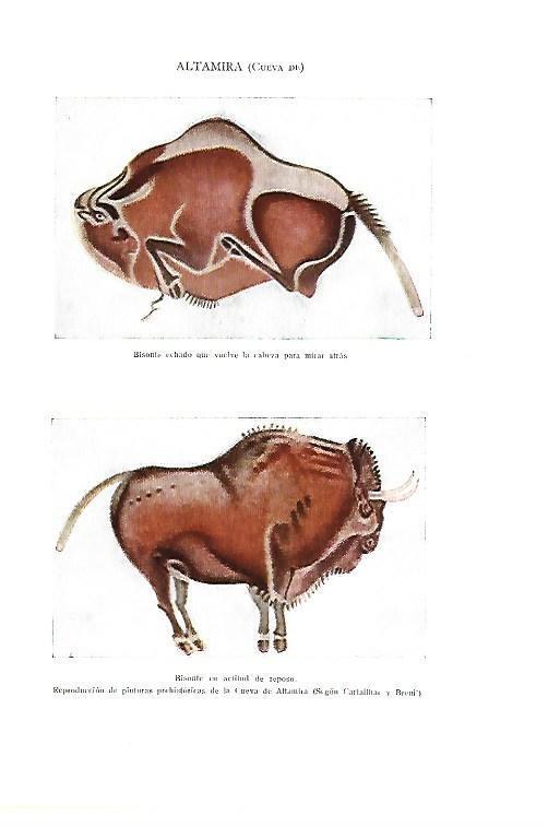 LAMINA ESPASA 40435: Bisontes de la Cueva de Altamira