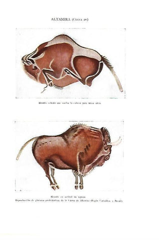 LAMINA ESPASA 40435: Bisontes de la Cueva de Altamira