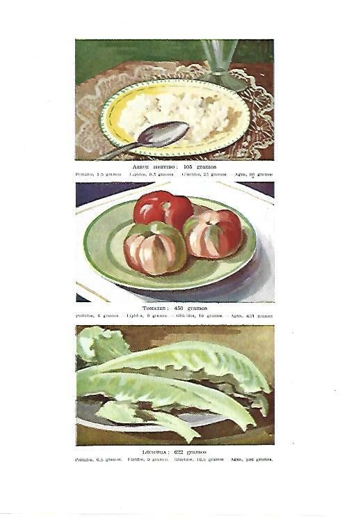 LAMINA ESPASA 40438: Arroz hervido, tomates y lechuga