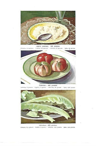 LAMINA ESPASA 40438: Arroz hervido, tomates y lechuga