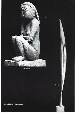 LAMINA ESPASA 40384: La Sabiduria y El Pajaro, por Constantin Brancusi