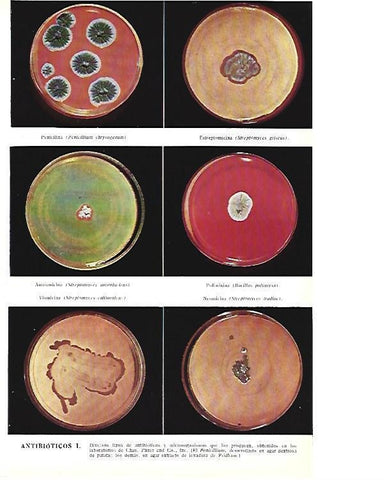 LAMINA ESPASA 40372: Antibioticos
