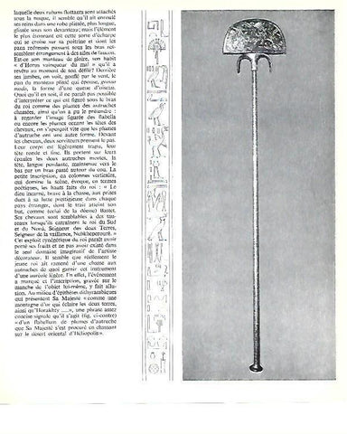 LAMINA 40791: Flabellum de Tutankhamon
