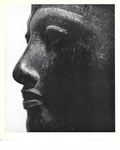 LAMINA 40825: Detalle del rostro de faraon