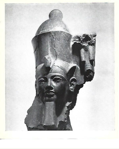LAMINA 40824: Cabeza de estatua de faraon