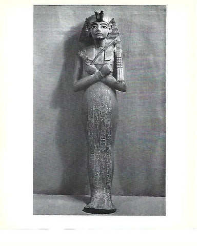 LAMINA 40808: Chaouabti de Tutankhamon