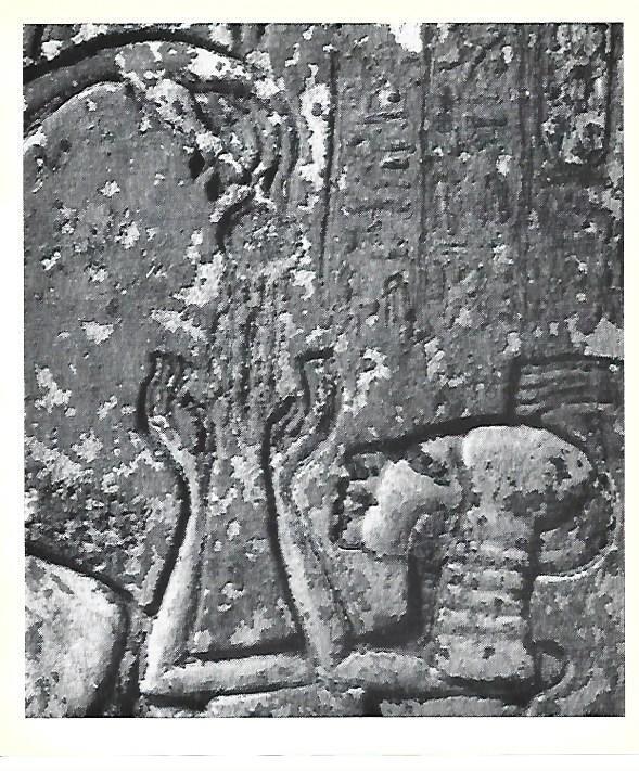LAMINA 40755: Detalle del relieve de Tell Amarna