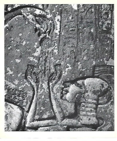 LAMINA 40755: Detalle del relieve de Tell Amarna