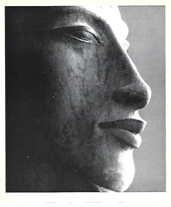 LAMINA 40753: Detalle del rostro de Amenhotep