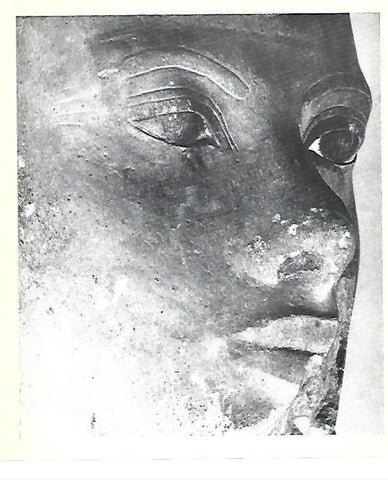 LAMINA 40826: Detalle del Coloso de Tutanakhamon