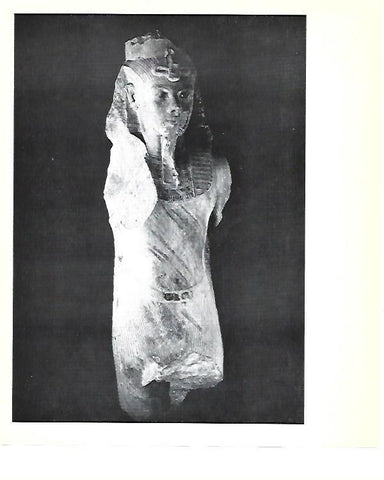 LAMINA 40827: Coloso de Tutankhamon