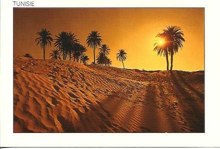 POSTAL A7039: Desierto en Tunez