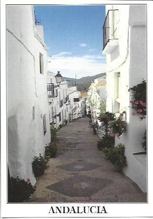 POSTAL A7049: Calle tipica de Frigiliana, Malaga