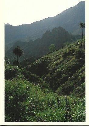 POSTAL A7006: Paisaje de La Gomera
