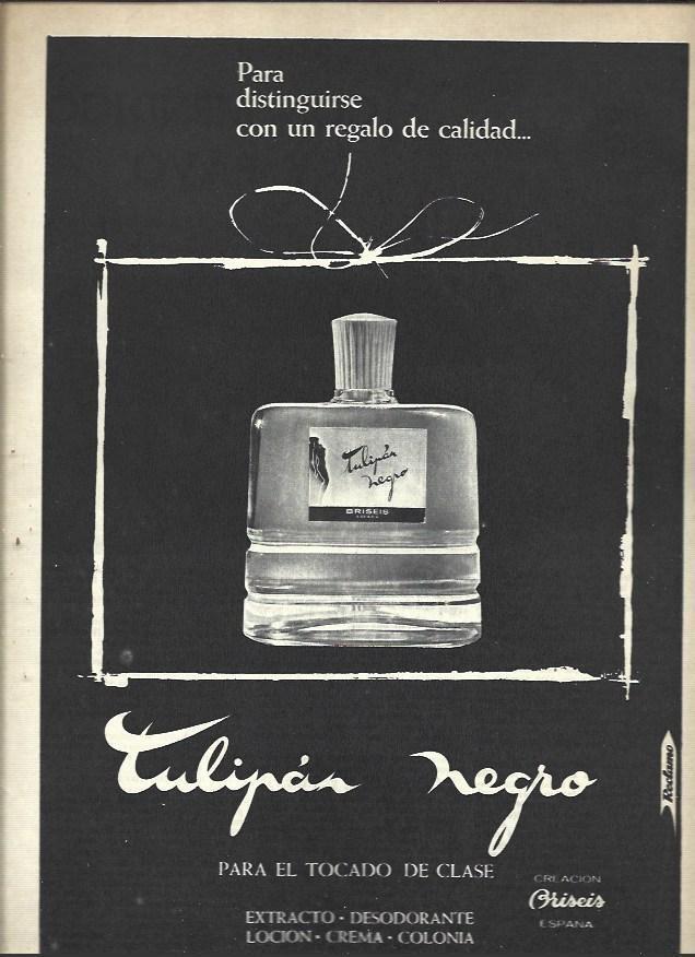 LAMINA 41083: Publicidad de Tulipan Negro