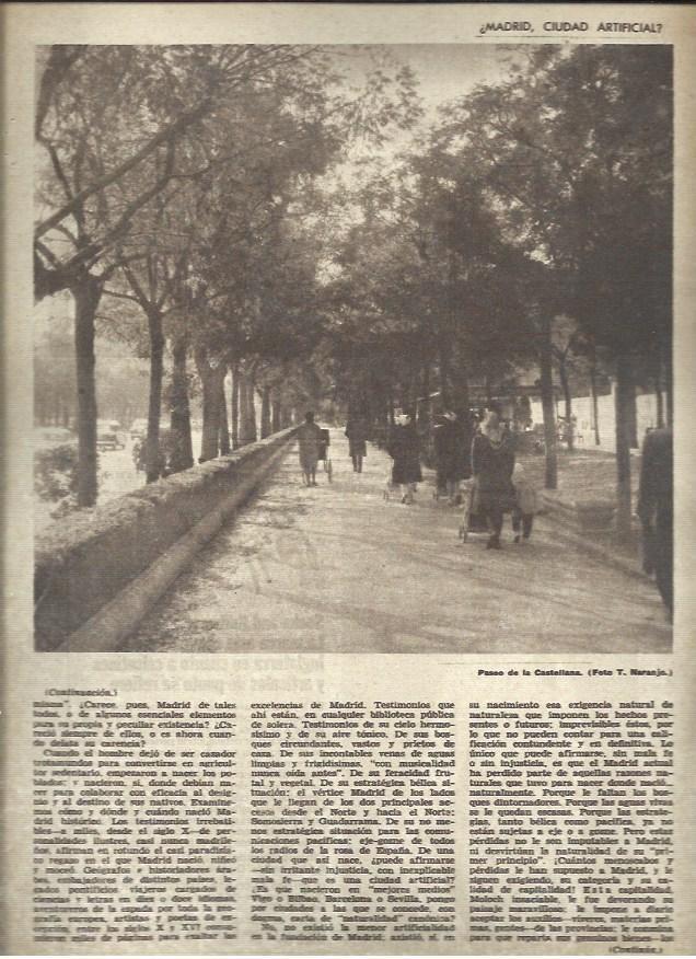 LAMINA 40847: Paseo de la Castellana de Madrid