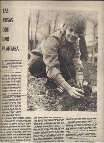 LAMINA 40951: Mujer plantando rosas