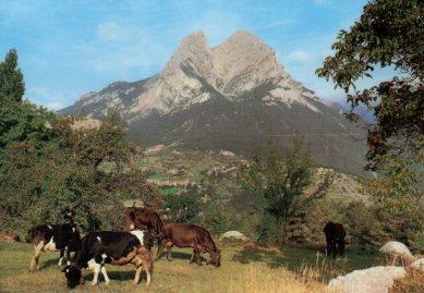 POSTAL PV13403: Vista del Pedraforca desde Saldes