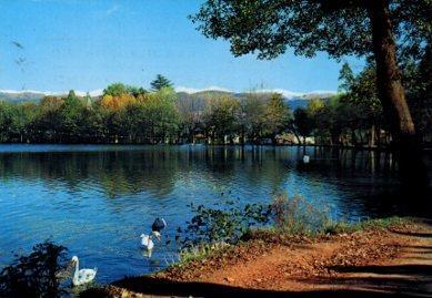 POSTAL PV13409: Vista del lago de Puigcerda