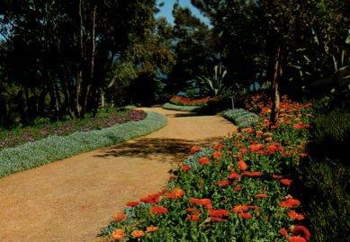 POSTAL PV13415: Jardin Botanico Mar i Murtra, Blanes
