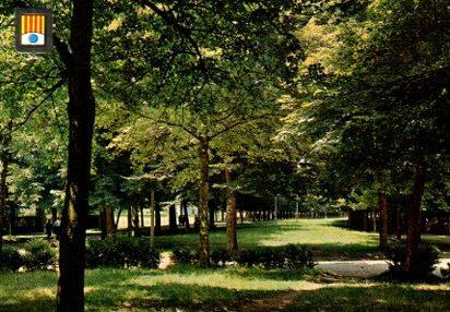 POSTAL PV13334: Avinguda Maristany, Camprodon