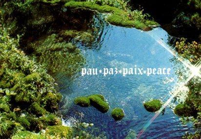 POSTAL PV13338: Pau paz paix peace