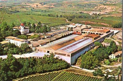 POSTAL PV13302: Cavas Codorniu. Vista aerea exterior