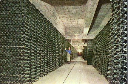 POSTAL PV13307: Cavas Codorniu. Botellas envejeciendo