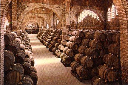 POSTAL PV13308: Cavas Codorniu. Una bodega