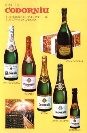 POSTAL PV13309: Codorniu botellas de cava