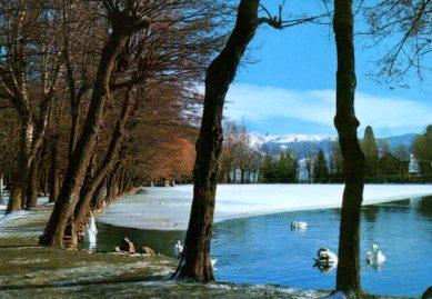 POSTAL PV13375: El Lago de Puigcerda