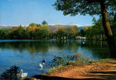 POSTAL PV13376: Cisnes en el Lago de Puigcerda