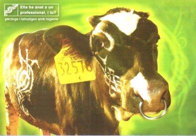 POSTAL PV13363: Publicidad pircings i tatuatges Ajuntament Vilanova i la Geltru